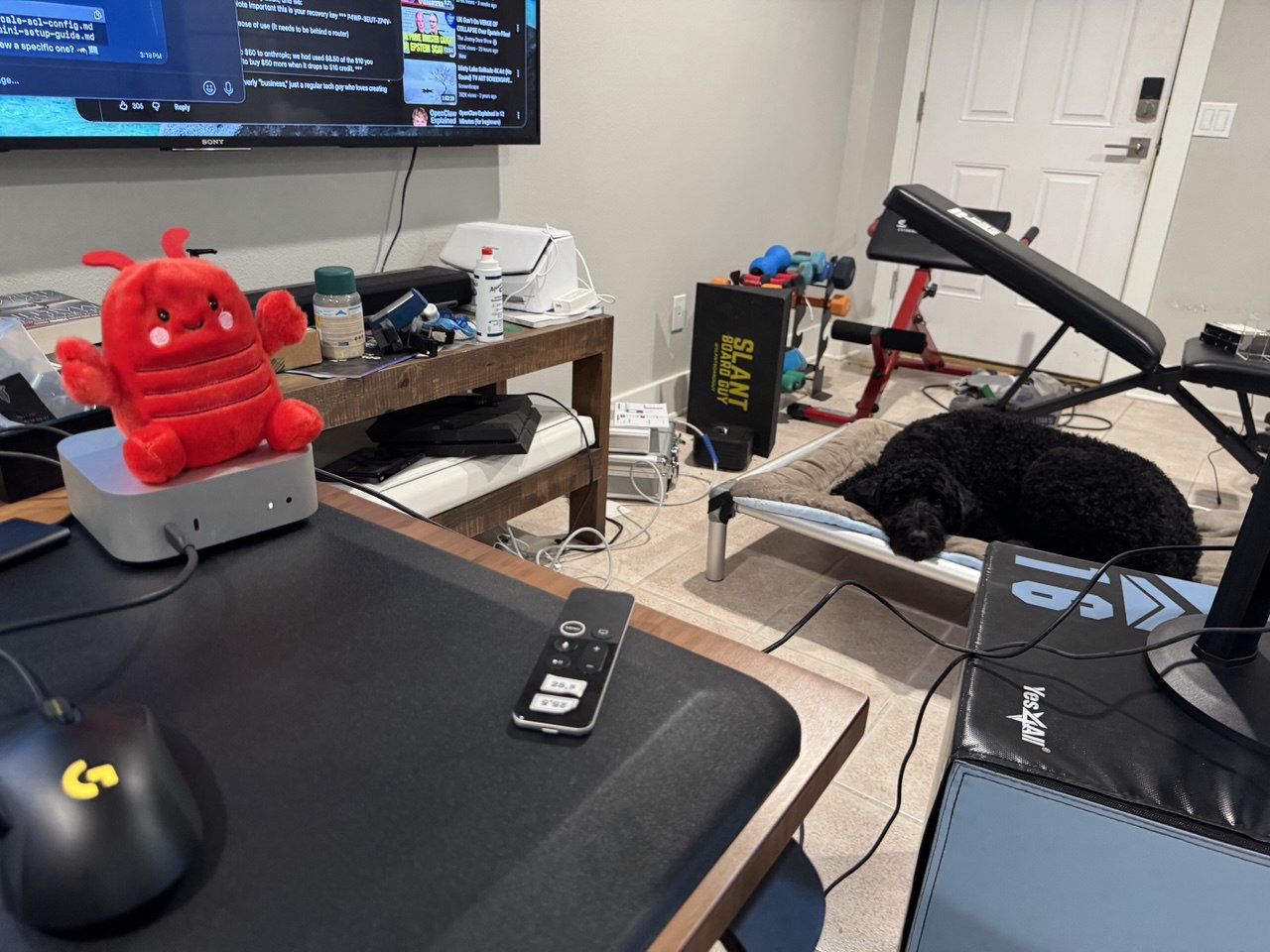 Mac Mini OpenClaw Setup