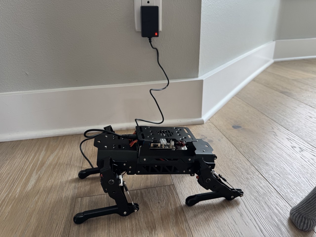 PuppyPi standing on Funland hardwood, charging